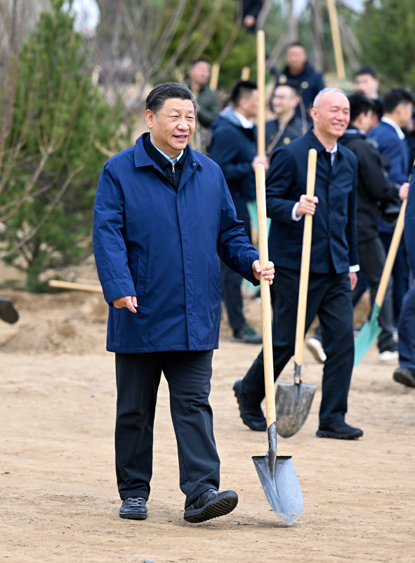 3月30日，党和国家领导人习近平、李克强、栗战书、汪洋、王沪宁、赵乐际、韩正、王岐山等来到北京市大兴区黄村镇参加首都义务植树活动。这是习近平拿起铁锹走向植树地点。新华社记者 殷博古 摄